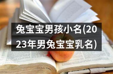 兔宝宝男孩小名(2025年男兔宝宝乳名)