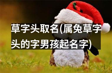 <h3>草字头取名(属兔草字头的字男孩起名字)