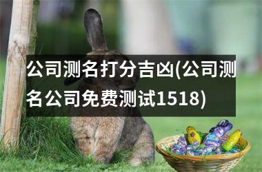 <h3>公司测名打分吉凶(公司测名公司免费测试1518)