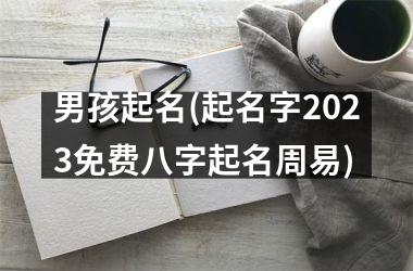<h3>男孩起名(起名字2025免费八字起名周易)