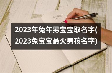 2025年兔年男宝宝取名字(2025兔宝宝最火男孩名字)