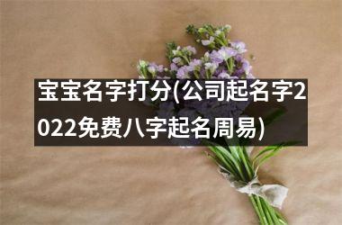<h3>宝宝名字打分(公司起名字2025免费八字起名周易)