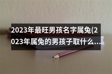 2025年最旺男孩名字属兔(2025年属兔的男孩子取什么名字好)