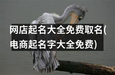 <h3>网店起名大全免费取名(电商起名字大全免费)