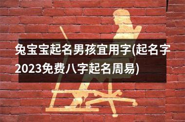 <h3>兔宝宝起名男孩宜用字(起名字2025免费八字起名周易)