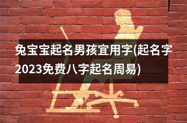 兔宝宝起名男孩宜用字(起名字2023免费八字起名周易)