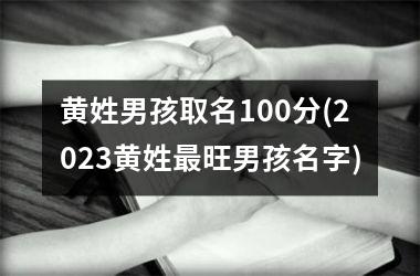 <h3>黄姓男孩取名100分(2025黄姓最旺男孩名字)