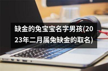 缺金的兔宝宝名字男孩(2023年二月属兔缺金的取名)