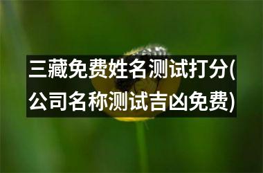 <h3>三藏免费姓名测试打分(公司名称测试吉凶免费)