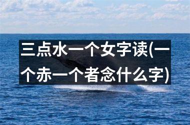 <h3>三点水一个女字读(一个赤一个者念什么字)