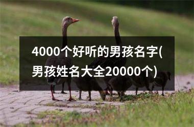 4000个好听的男孩名字(男孩姓名大全20000个)