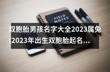 双胞胎男孩名字大全2023属兔(2023年出生双胞胎起名字)