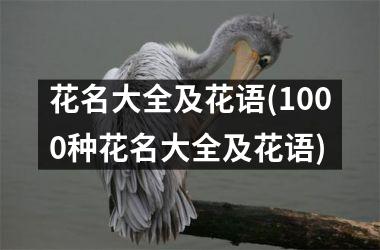 <h3>花名大全及花语(1000种花名大全及花语)