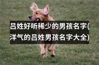 吕姓好听稀少的男孩名字(洋气的吕姓男孩名字大全)