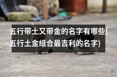 <h3>五行带土又带金的名字有哪些(五行土金组合吉利的名字)