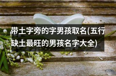 <h3>带土字旁的字男孩取名(五行缺土最旺的男孩名字大全)