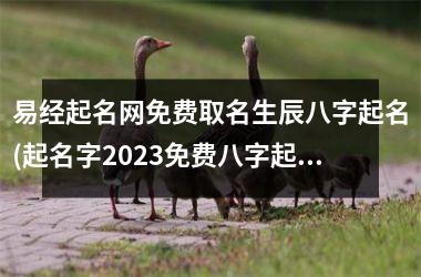 <h3>易经起名网免费取名生辰八字起名(起名字2025免费八字起名周易)