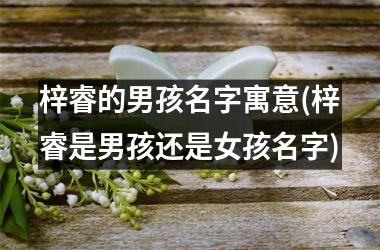<h3>梓睿的男孩名字寓意(梓睿是男孩还是女孩名字)