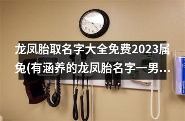 <h3>龙凤胎取名字大全免费2025属兔(有涵养的龙凤胎名字一男一女)