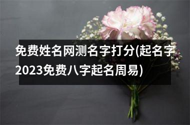 <h3>免费姓名网测名字打分(起名字2025免费八字起名周易)