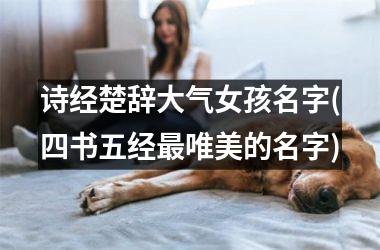 <h3>诗经楚辞大气女孩名字(四书五经最唯美的名字)