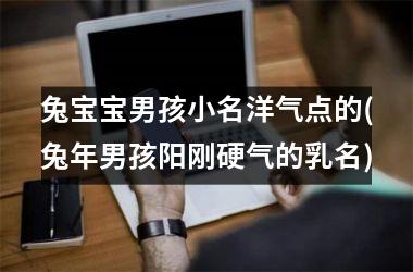 <h3>兔宝宝男孩小名洋气点的(兔年男孩阳刚硬气的乳名)