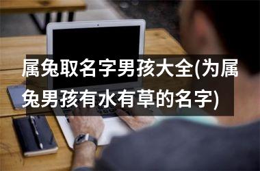 <h3>属兔取名字男孩大全(为属兔男孩有水有草的名字)
