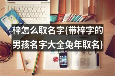 <h3>梓怎么取名字(带梓字的男孩名字大全兔年取名)