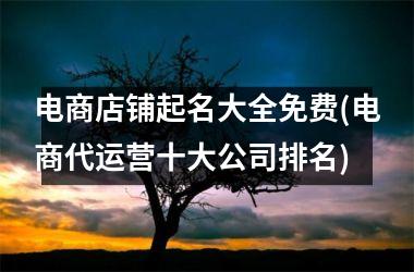 <h3>电商店铺起名大全免费(电商代运营十大公司排名)