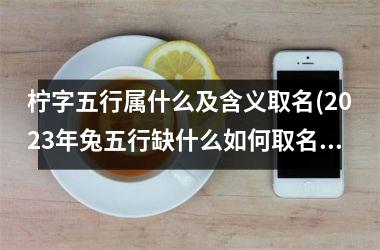 <h3>柠字五行属什么及含义取名(2025年兔五行缺什么如何取名)