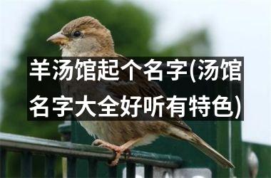 <h3>羊汤馆起个名字(汤馆名字大全好听有特色)