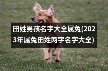 <h3>田姓男孩名字大全属兔(2025年属兔田姓两字名字大全)