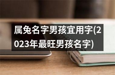 <h3>属兔名字男孩宜用字(2025年最旺男孩名字)