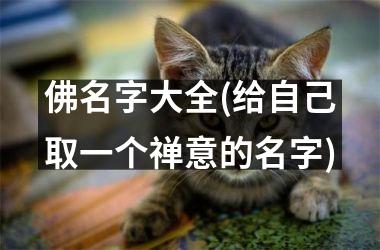 佛名字大全(给自己取一个禅意的名字)
