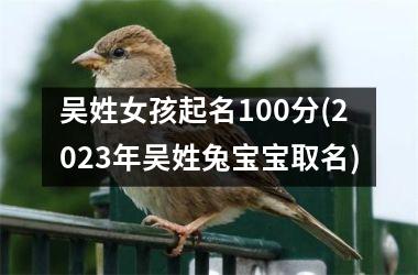 <h3>吴姓女孩起名100分(2025年吴姓兔宝宝取名)