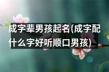 成字辈男孩起名(成字配什么字好听顺口男孩)