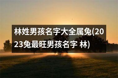 <h3>林姓男孩名字大全属兔(2025兔最旺男孩名字 林)