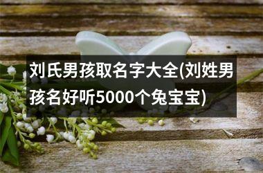 <h3>刘氏男孩取名字大全(刘姓男孩名好听5000个兔宝宝)