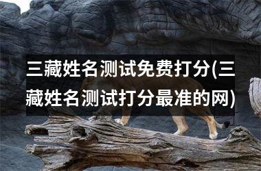 三藏姓名测试免费打分(三藏姓名测试打分最准的网)
