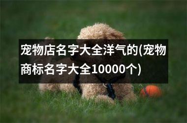 <h3>宠物店名字大全洋气的(宠物商标名字大全10000个)