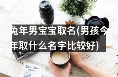 <h3>兔年男宝宝取名(男孩今年取什么名字比较好)