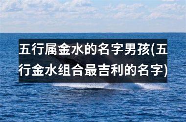<h3>五行属金水的名字男孩(五行金水组合最吉利的名字)
