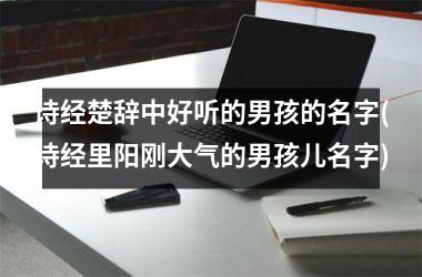<h3>诗经楚辞中好听的男孩的名字(诗经里阳刚大气的男孩儿名字)
