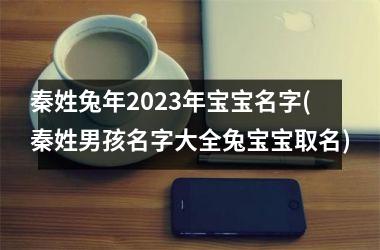 <h3>秦姓兔年2025年宝宝名字(秦姓男孩名字大全兔宝宝取名)