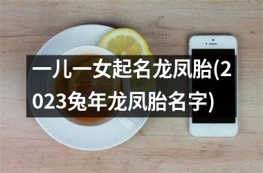一儿一女起名龙凤胎(2025兔年龙凤胎名字)