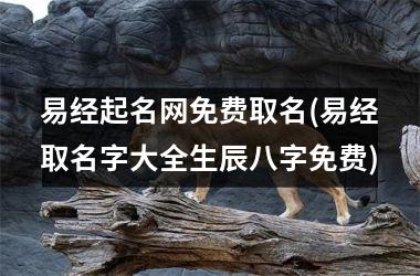 <h3>易经起名网免费取名(易经取名字大全生辰八字免费)