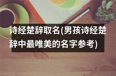 <h3>诗经楚辞取名(男孩诗经楚辞中最唯美的名字参考)