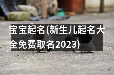 <h3>宝宝起名(新生儿起名大全免费取名2025)