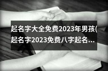 <h3>起名字大全免费2025年男孩(起名字2025免费八字起名周易)