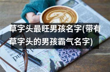 <h3>草字头最旺男孩名字(带有草字头的男孩霸气名字)